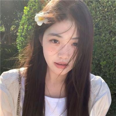 小猫熊历险记