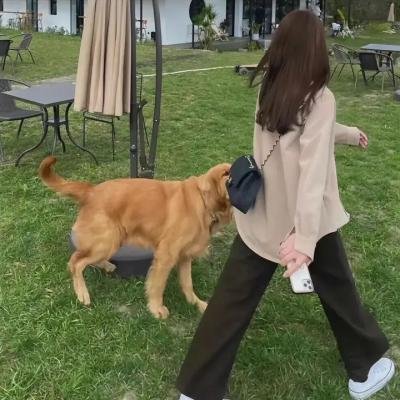 马麻吉:马戏团危机