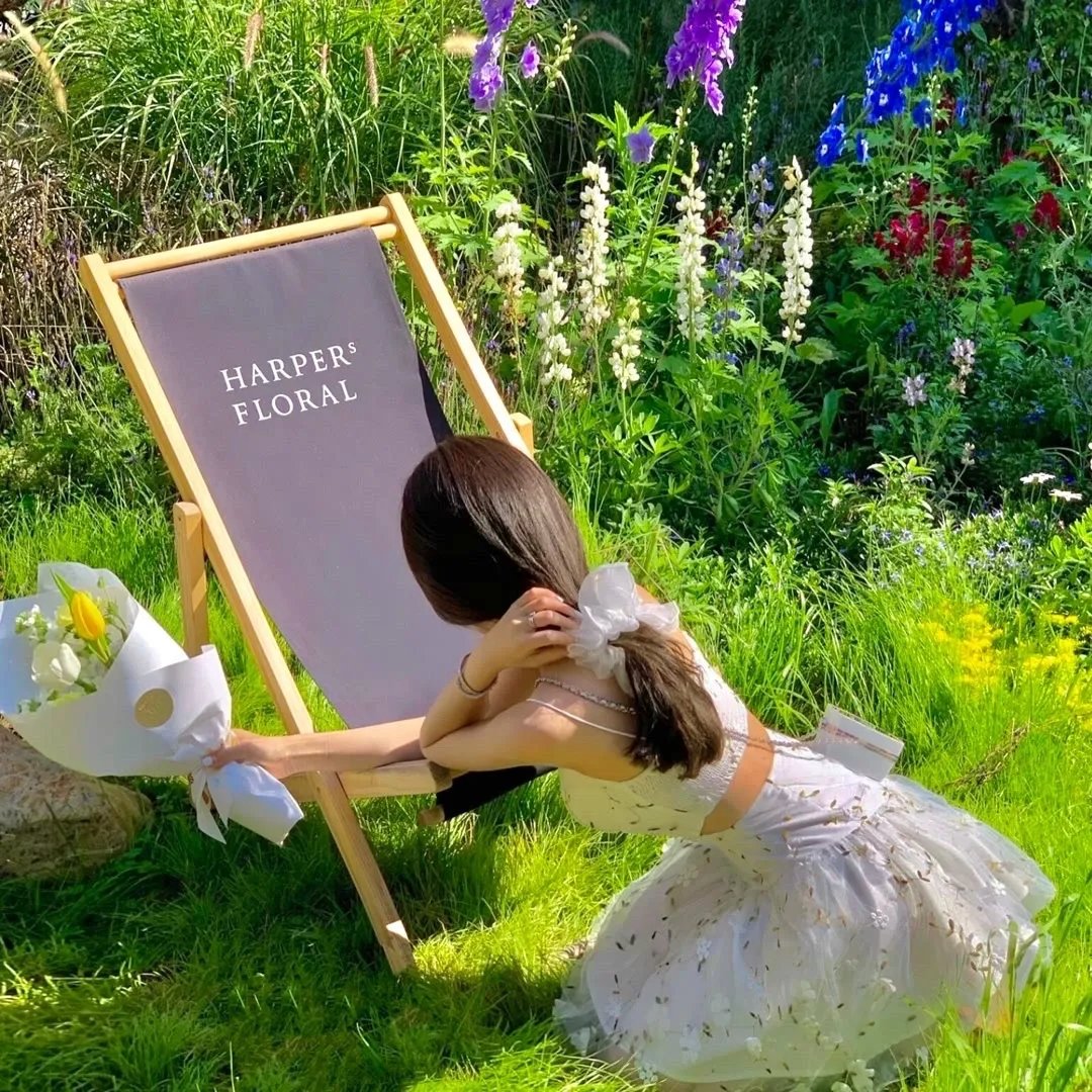 搞错联姻对象,太傅他又争又抢